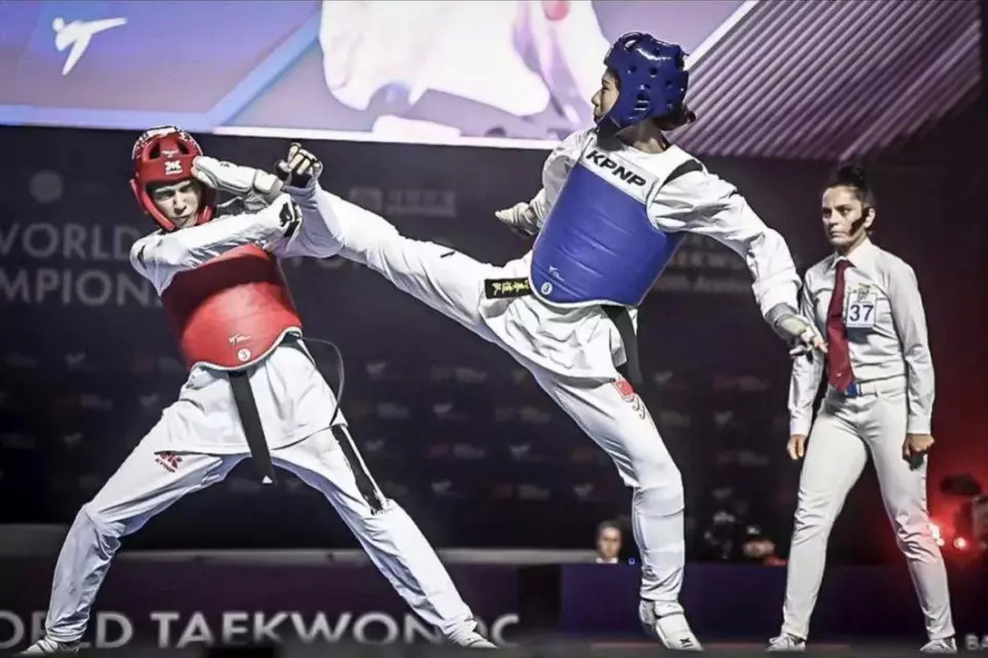 传统跆拳道锦标赛，技艺与胆识的较量的简单介绍