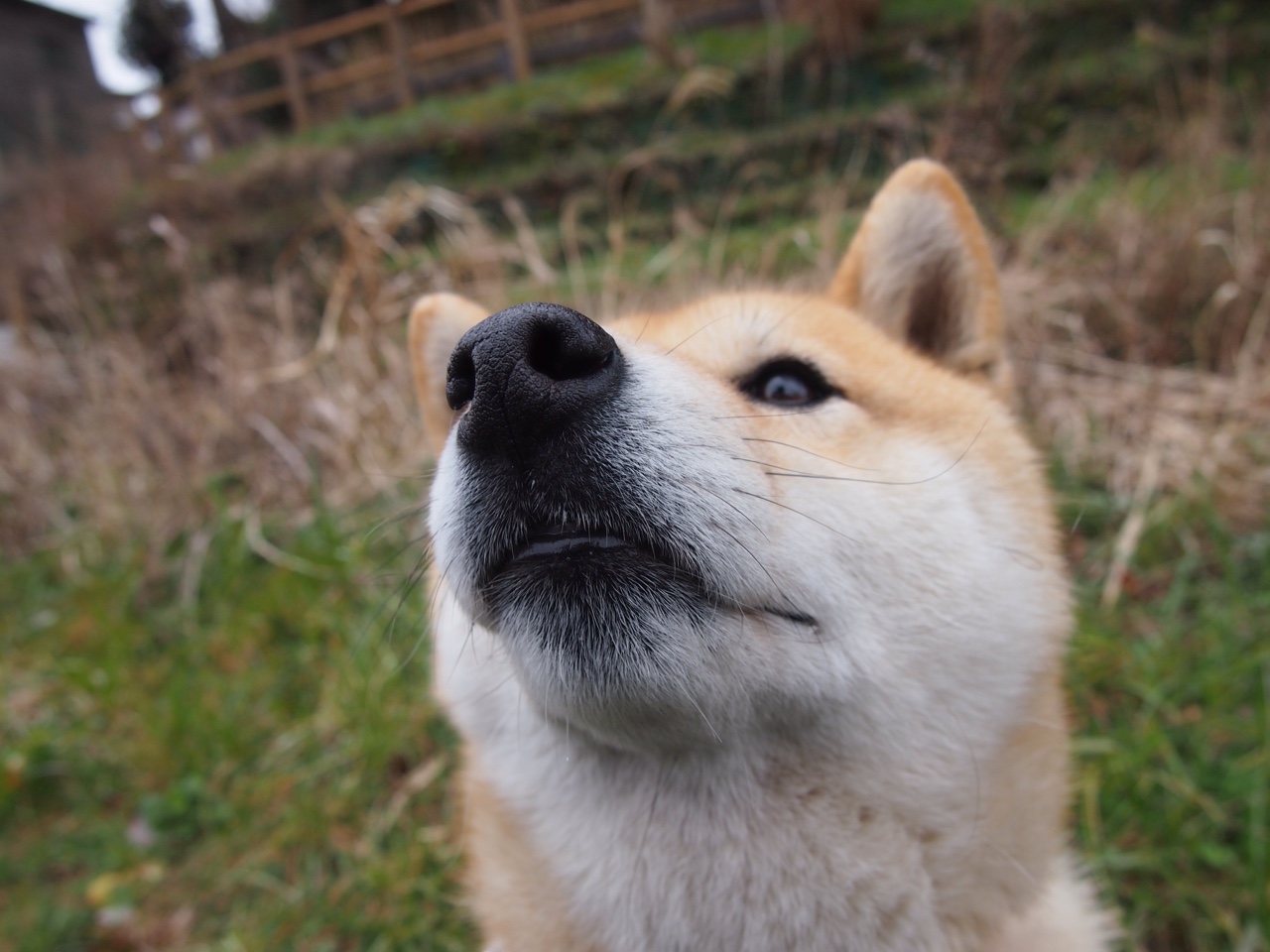 _未来运动装备:AI辅助促运动表现_,运动辅助工具有哪些