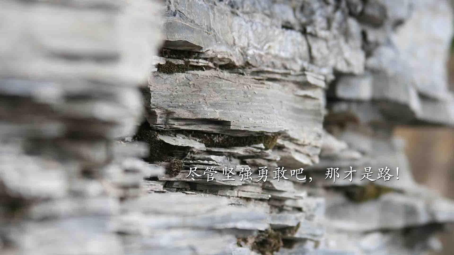 _骑士年轻核心持续火力,未来充满希望_,骑士ehlo