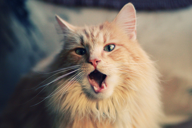 开云网页版-全国青少年“篮球创新杯”线上创新创业大赛正式启动，青少年篮球杯名字