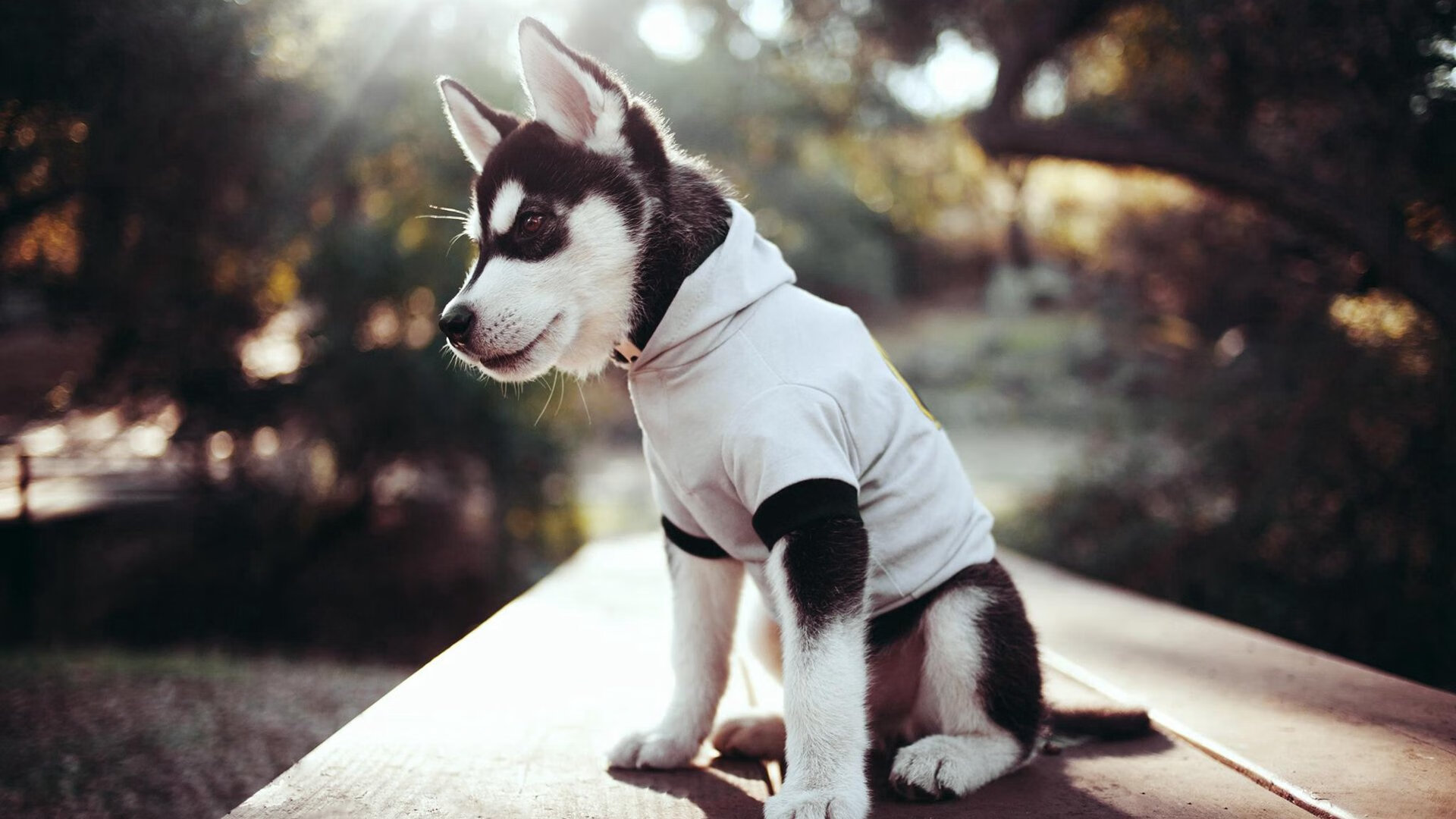 关键时刻球员火力全开，决胜负于一次出击，效力过热火的球员