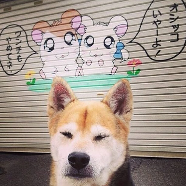 关键时刻集体发挥,展现团结战斗力,团结凝聚出战斗力