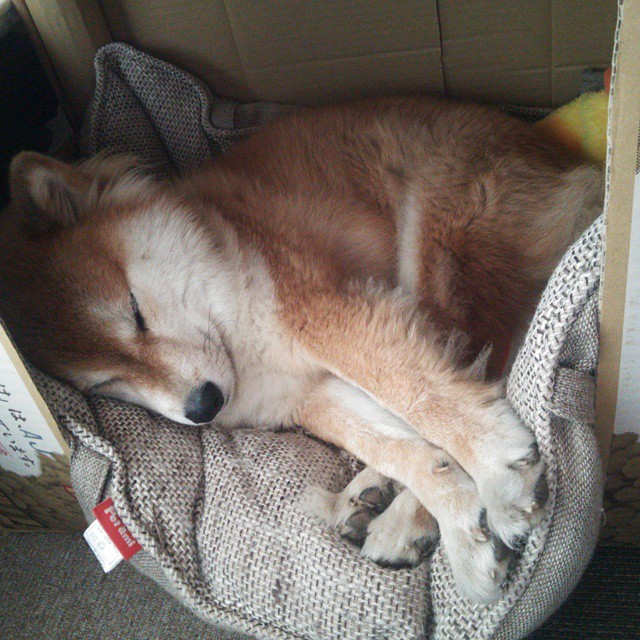 开云体育视频直播-匈牙利遭遇一波三折，小组出线希望渺茫，匈牙利事件始末