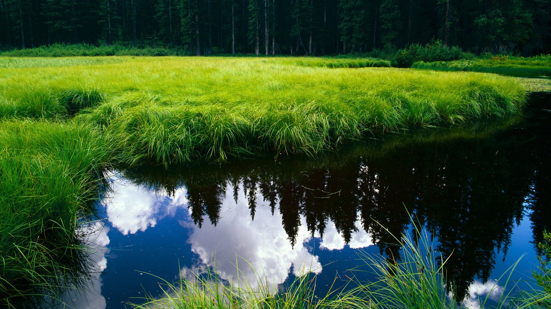 kaiyun.com-国民队年轻球员入选国家队，国民队年轻球员入选国家队了吗