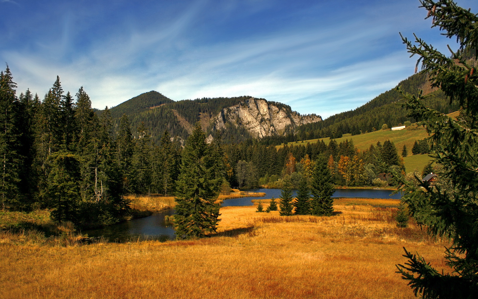 开云官网-托桑·埃夫布奥姆万在NBA常规赛中贡献稳定，布冯和埃托奥