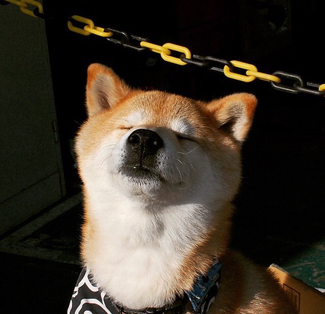 法兰克福球员展现出强大实力,轻松击败对手,法兰克福队史球星