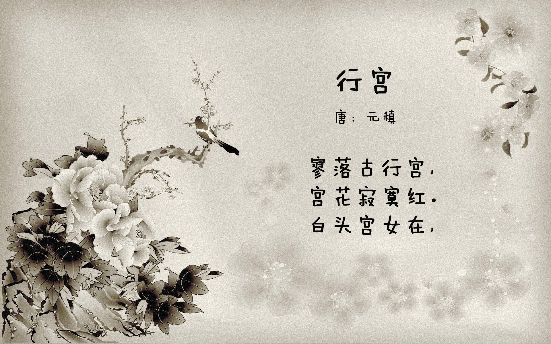 看好意甲冠军希望？亚特兰大表现亮眼，意甲亚特兰大足球俱乐部