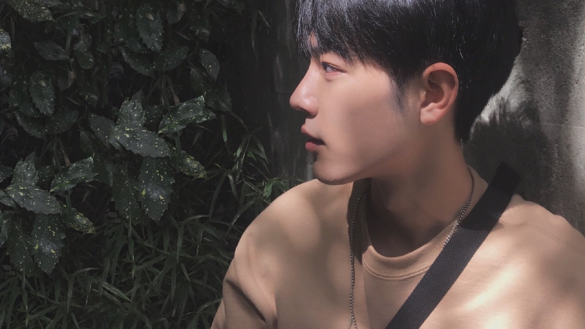 萨博尼斯基领导球队晋级全球杯篮球比赛,萨博尼斯入选全明星