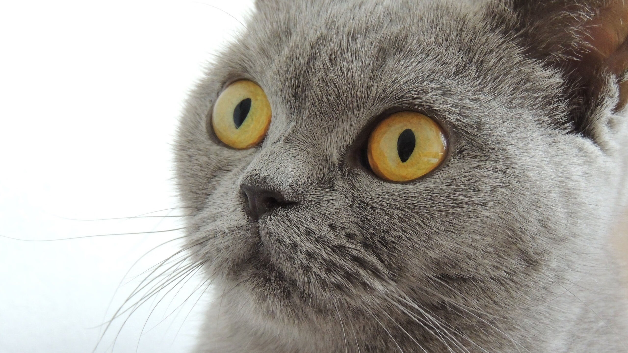 体育赛事场地合规性评估指标体系设计,体育赛事评估报告怎么写