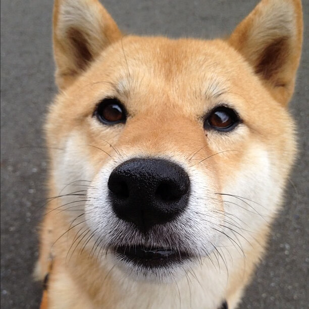 英超第30轮焦点:阿森纳VS曼城,冠军争夺白热化,英联杯阿森纳对曼城