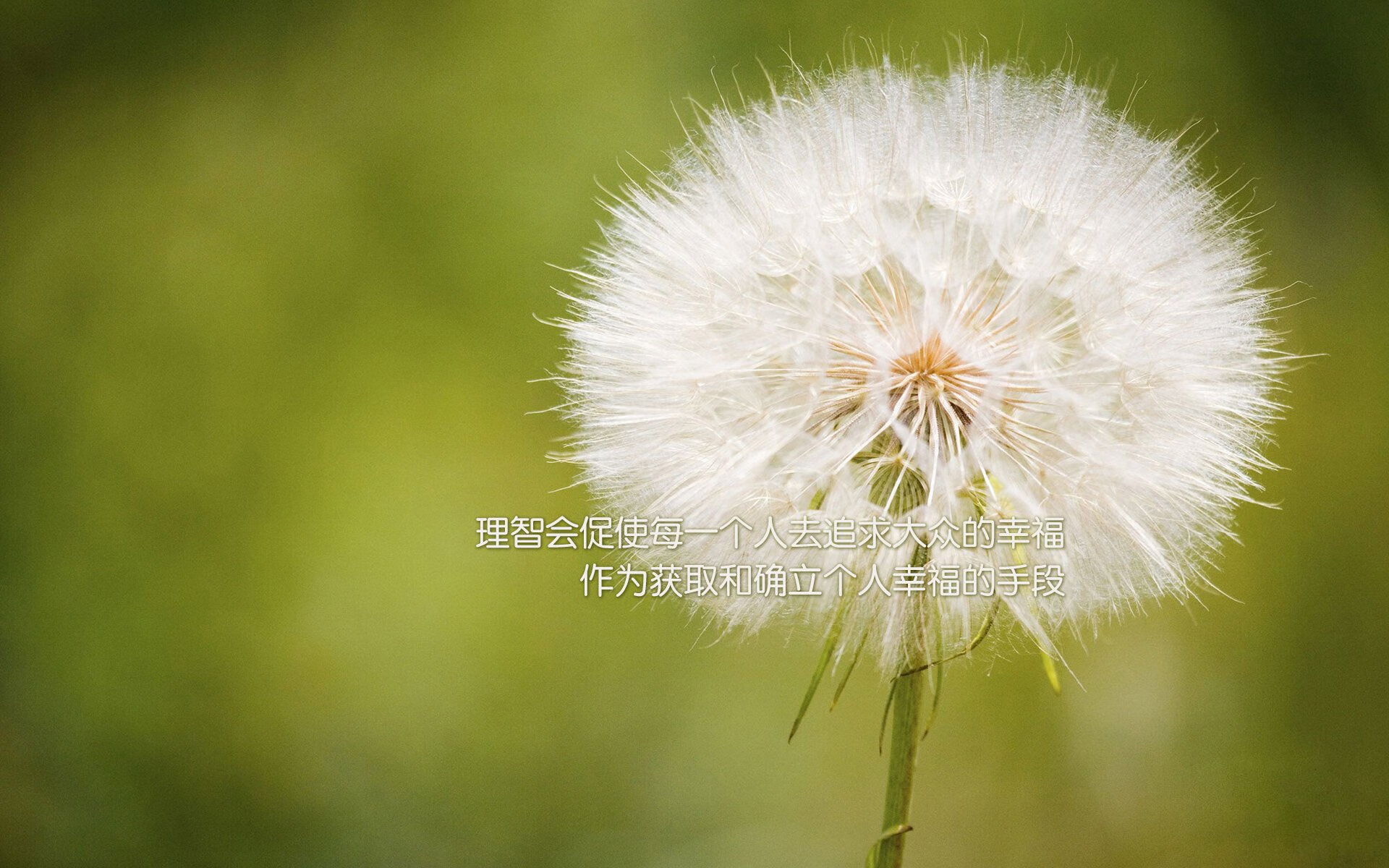 中国三人篮球男队体能训练强化 适应高强度赛事，中国男子三人篮球运动员