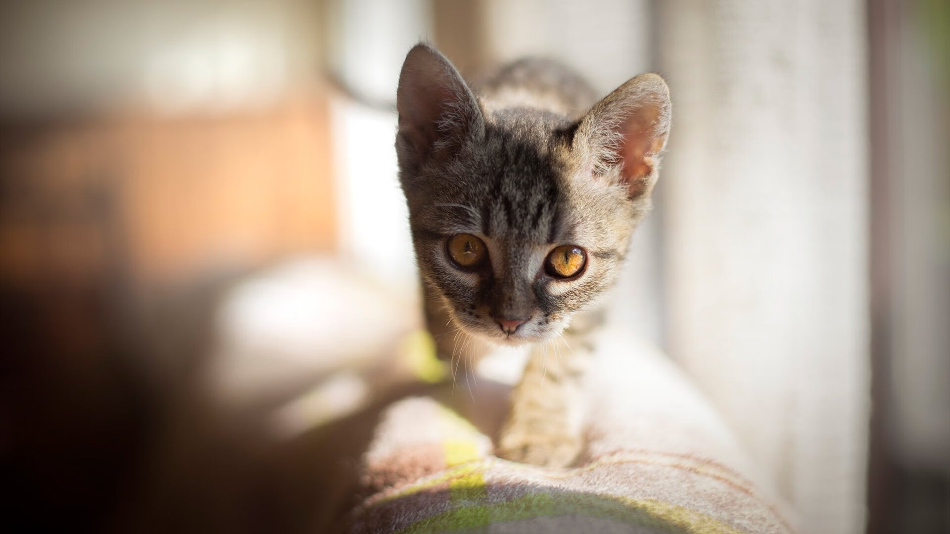 开云·体育官方网站入口-意甲攻防对决：攻势如潮防守坚韧，意甲防守怎么这么严