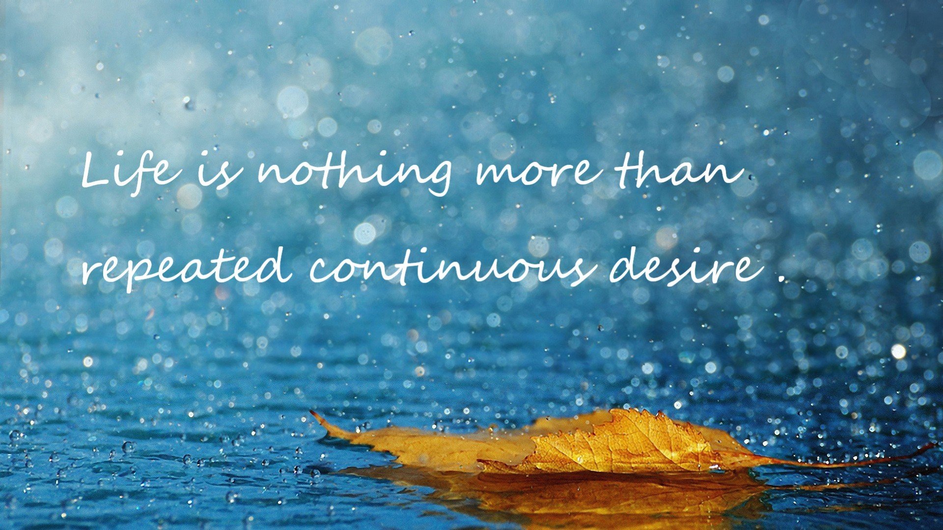 开云体育APP下载-独行侠训练课上进行球员自主战术设计，独行侠队控卫