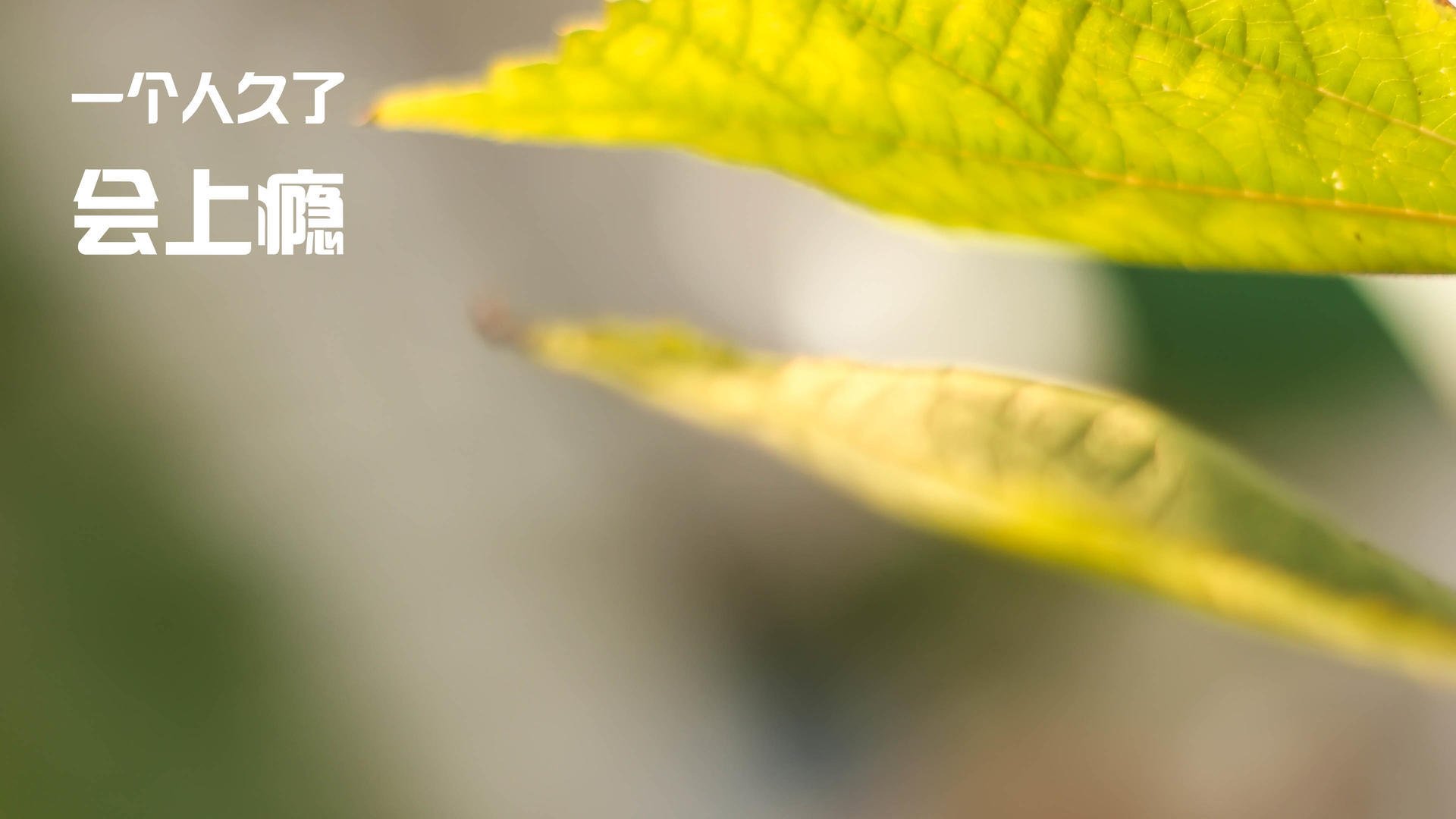 英国队赛后感谢团队支持与鼓励,英国队赛后感谢团队支持与鼓励的话